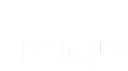 Logo Pronus Events